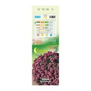 SEMI GARDEN ALISSO VIOLETTO NANO- 10,0 pz