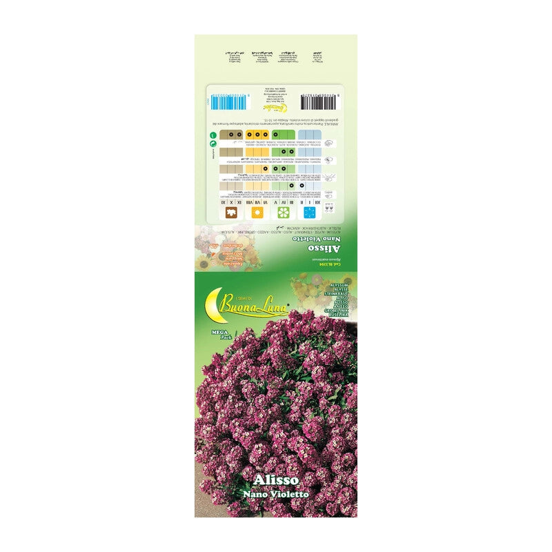 SEMI GARDEN ALISSO VIOLETTO NANO- 10,0 pz