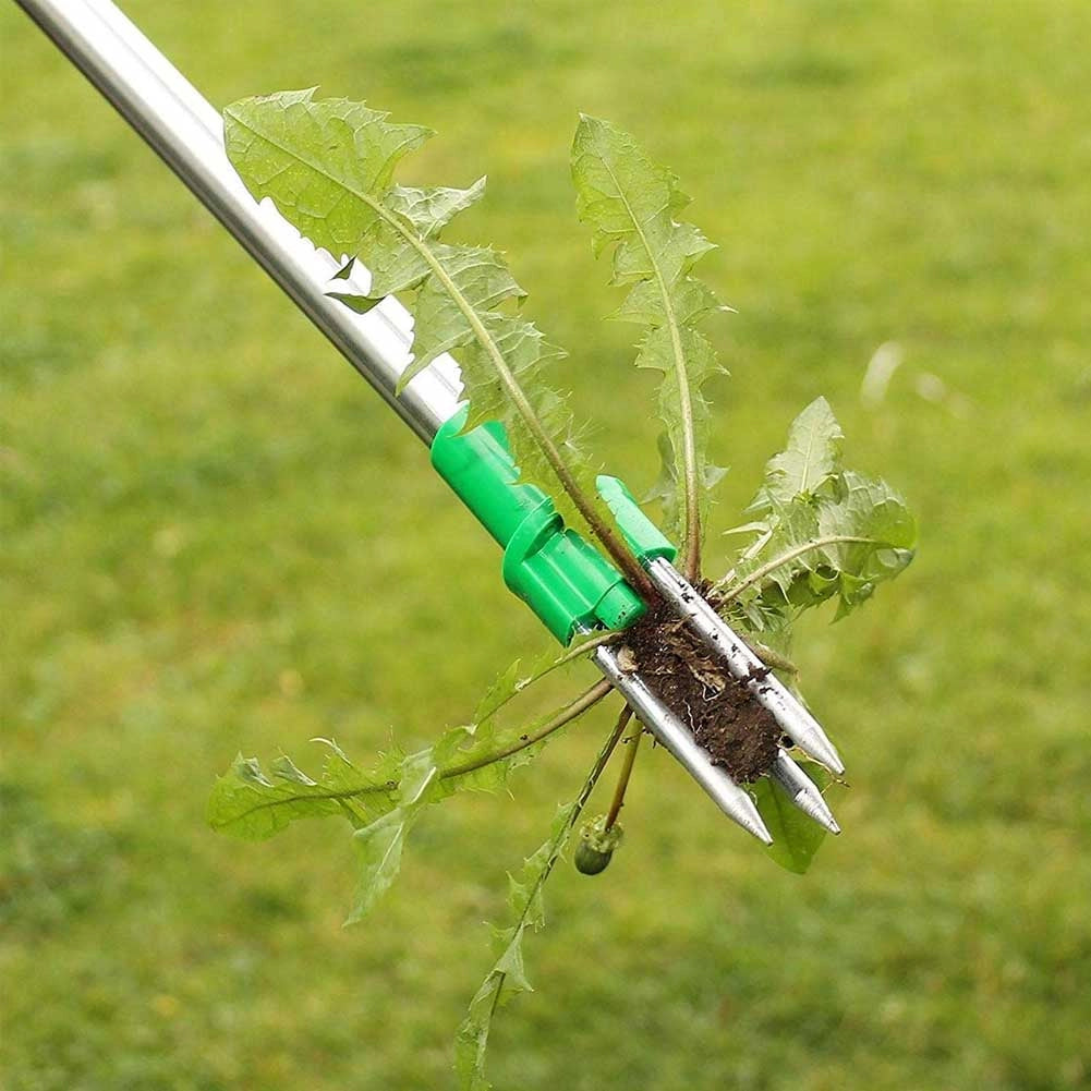 Estirpatore Erbacce da Giardino Estrattore Piante Erbe Infestanti 100cm Kinzo