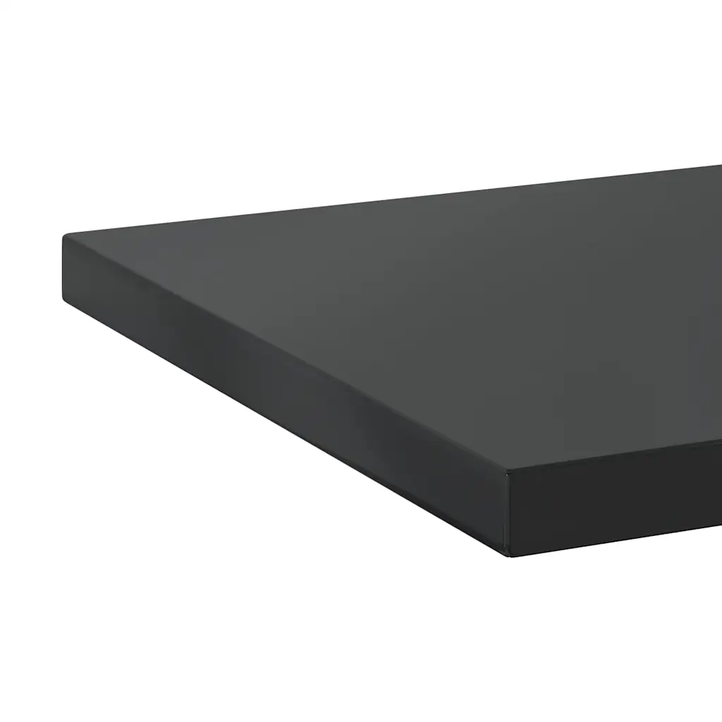 Mensole a Muro 2 pz 100x40x3 cm Nero in Acciaio Inossidabile