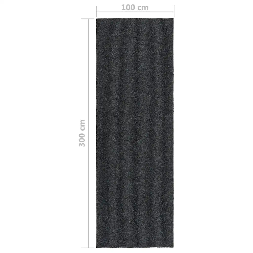 Tappeto del soggiorno | Tappeto Corsia Acchiappa Polvere 100x300 cm Antracite