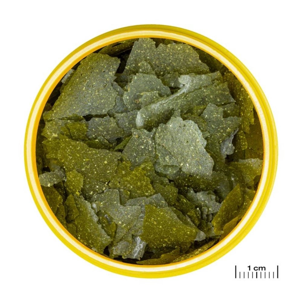 JBL ProNovo Spirulina Flakes M - Mangime in fiocchi a base di spirulina per tutti i pesci da 8 a 20 cm Formato: 100 ml