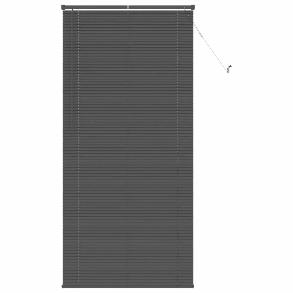 Tenda Veneziana | Tenda a lamelle Grigio Argento 213 x 70 cm 25 mm PVC