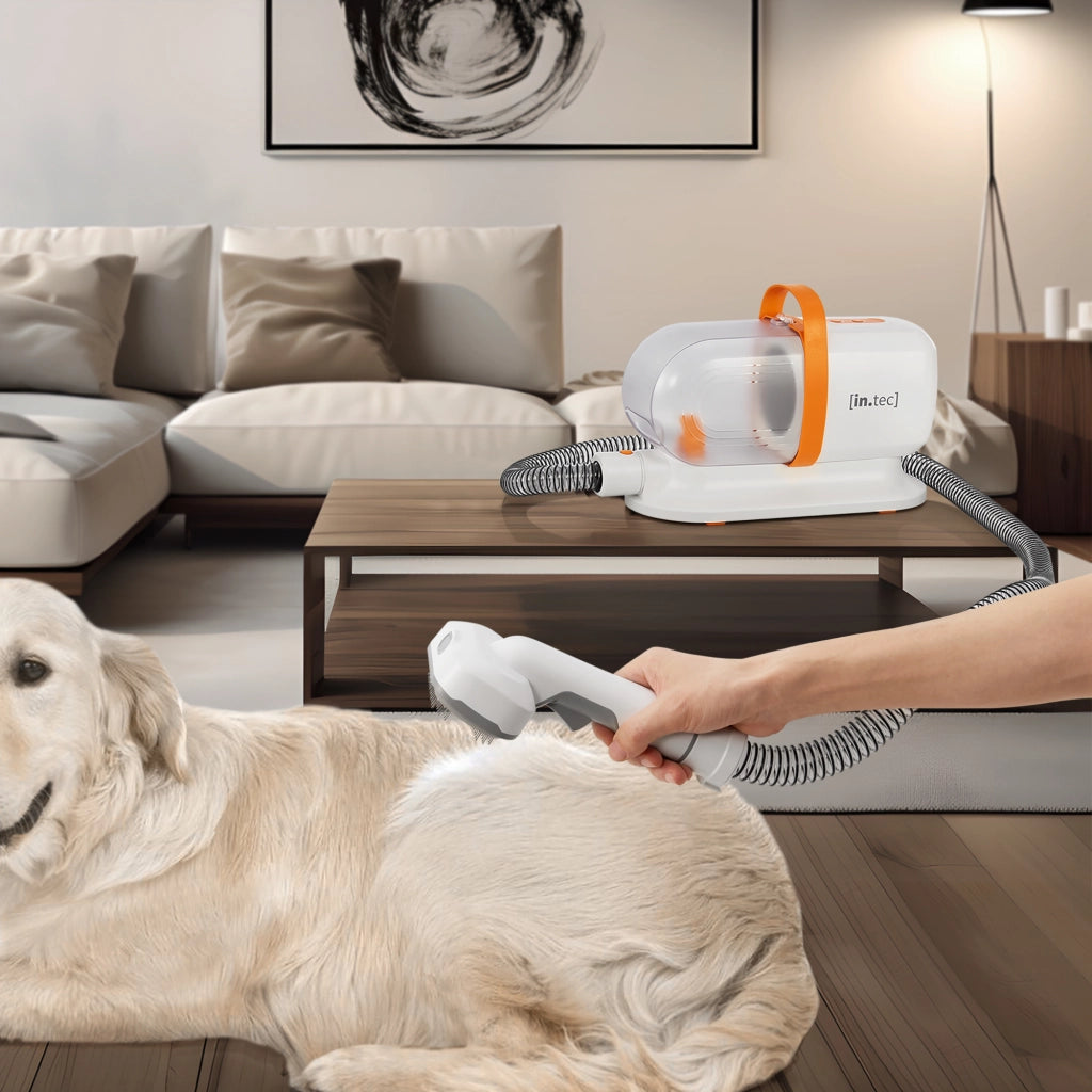 Kit Toelettatura Amesbury 5 in 1 per Animali Domestici - Bianco / Arancio in.tec