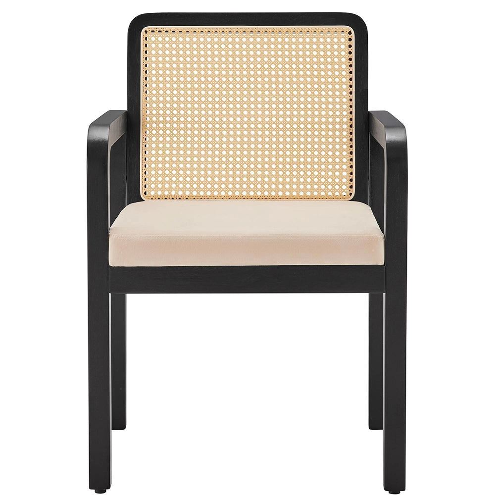 Tessuto velluto alta qualit¨¤ - Xylo - 4 pezzi sedia da pranzo ergonomica lussuosa