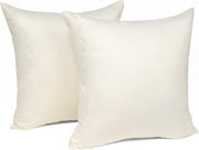 Copricuscini Fodere per Cuscini Quadrate Decorazione per Divano Casa Set da 2 Pezzi 30x30 cm