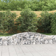 Cesti Gabbioni ad Arco 15 pz 400x30x40/60 cm Ferro Zincato 3146836
