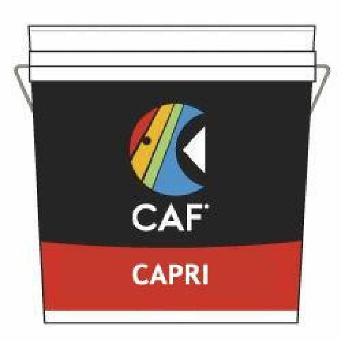 Capri kg. 25 bianco rivestimento acrilico per esterno quarzo b07