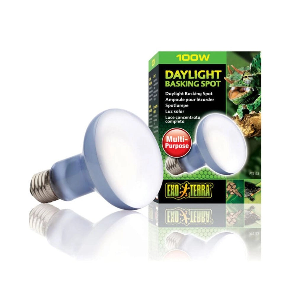 ExoTerra Daylight Basking Spot - lampada al Neodymium ad ampio spettro Wattaggio Riscaldatori e lampade terrario: 100W