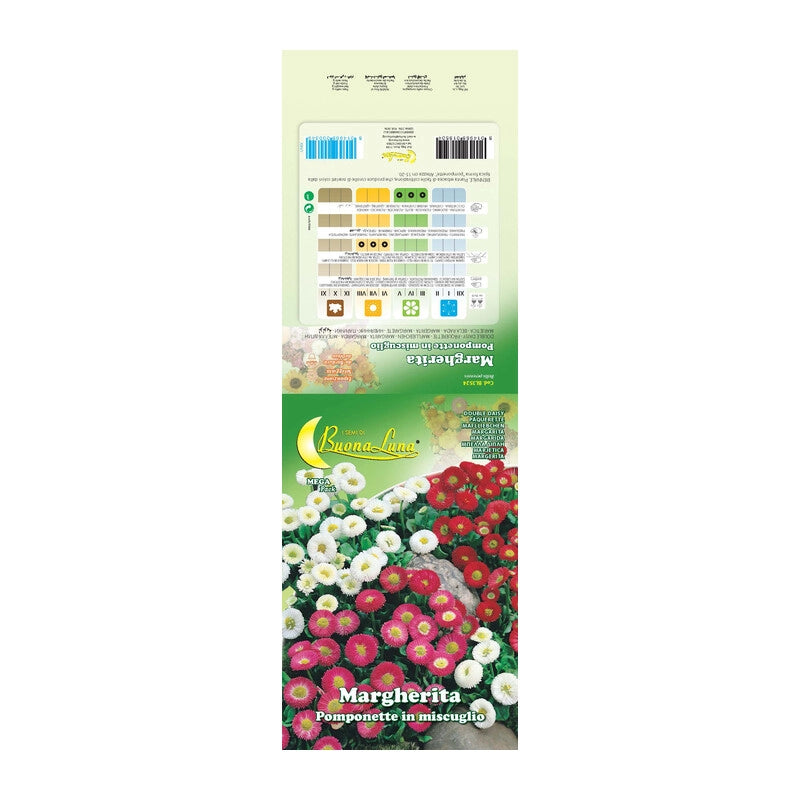 SEMI GARDEN MARGHERITA POMPONETTE- 10,0 pz