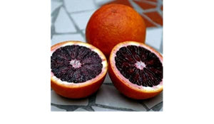 Pianta di Arancio Fragola Citrus sinensis fragola in vaso 20 cm foto reali