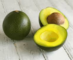 PIANTA PERSEA AMERICANA PIANTA DI AVOCADO REED INNESTATA H 100cm