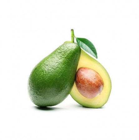 PIANTA PERSEA AMERICANA PIANTA DI AVOCADO FUERTE INNESTATA