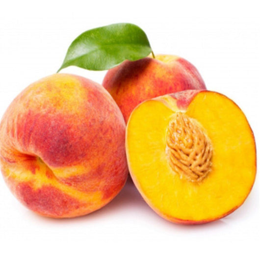 Pianta di Pesco Springcrest vaso 24cm