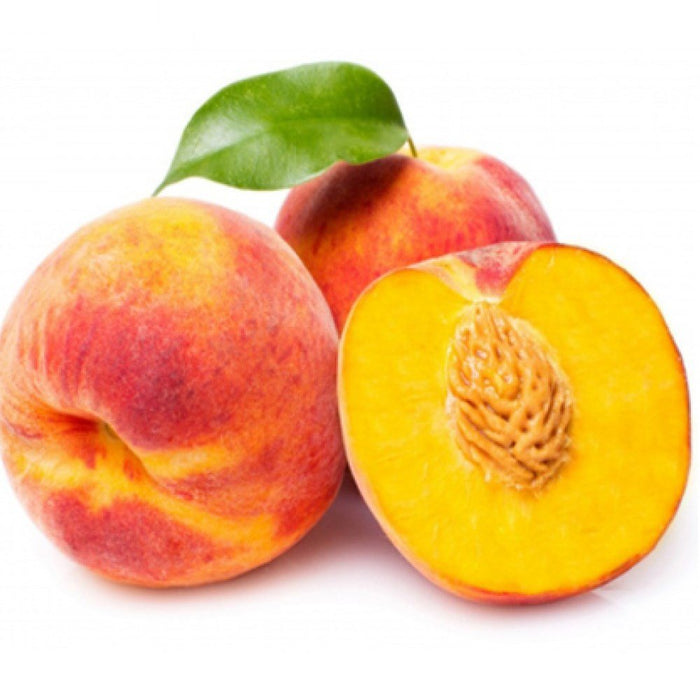 Pianta di Pesco Springcrest vaso 24cm