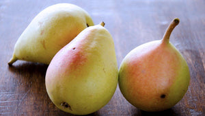 Pianta di Pero Coscia foto reali