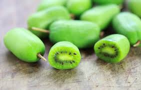 Pianta di Mini Kiwi Autofertile - Actinidia Arguta (varietà VITIKIWI)