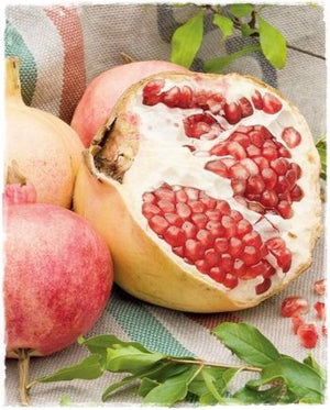 Pianta di Melograno Dente di Cavallo vaso 24cm