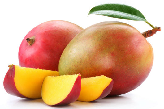 Pianta di Mango Kensington Mangifera Indica foto reali H 140cm