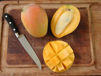 PIANTA DI MANGIFERA INDICA MANGO GLENN INNESTATA FOTO REALI H 140 cm