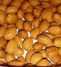 Pianta di Mandorlo vaso 24cm foto reali