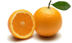 Pianta di Arancio Valencia foto reali di 2 anni