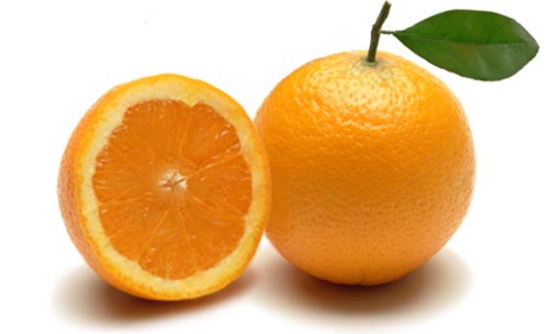 Pianta di Arancio Valencia foto reali di 2 anni