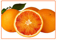 Pianta di Arancio Tarocco scirè in fitocella foto reali