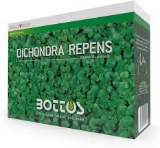 Bottos Dichondra Repens da 500 g