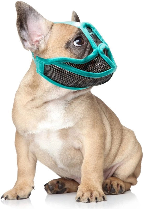 Snuit per cani adattabile - respiro naturale - snout corto - anti-mordicante - snuff per cani - bordo morbido per comfort - snuff per cani

Modello: 
Codice prodotto: 
Dimensioni: 
Materiali: 
Colore: 
Peso: 
Garanzia: