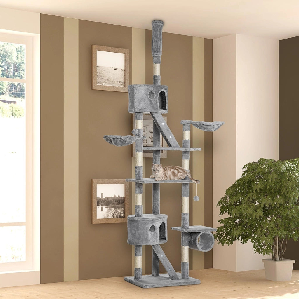 Albero per gatti ¨C zephmum ¨C Grigio 240-260 cm