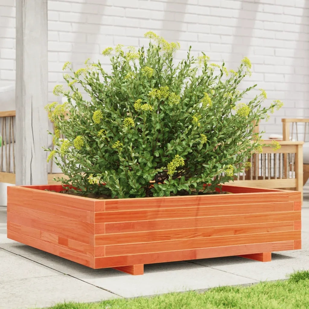 Fioriera | Cassetta per fiori | Vaso Giardino Marrone Cera 90x90x26,5cm Legno Massello Pino