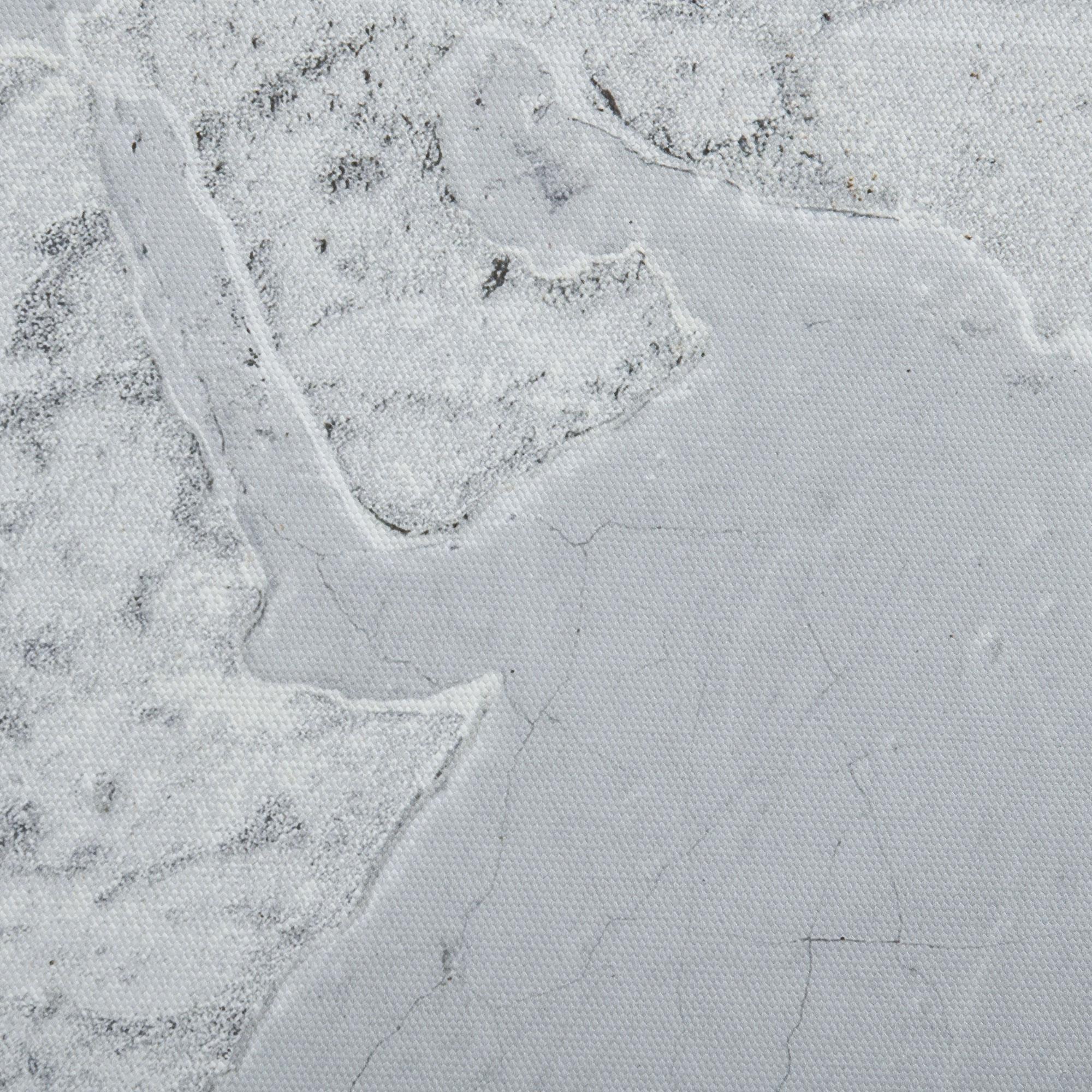 Stampa su Tela Mondo 120x90 cm in Legno di Pino Grigio e Bianco