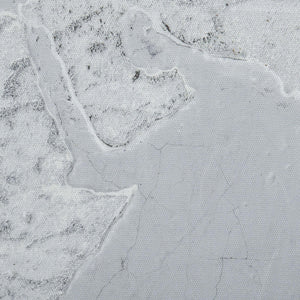 Stampa su Tela Mondo 120x90 cm in Legno di Pino Grigio e Bianco