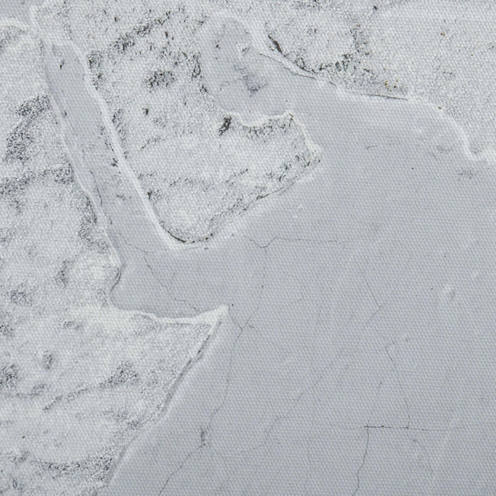 Stampa su Tela Mondo 120x90 cm in Legno di Pino Grigio e Bianco