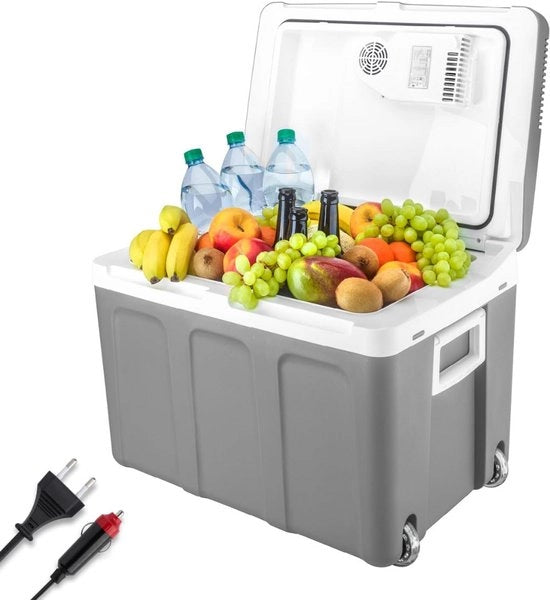 Raffreddatore Elettrico per Auto e Camping – Raffreddatore Elettrico – Sistema di Raffreddamento Termanico