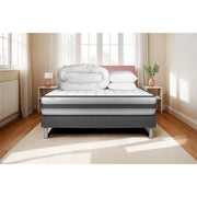 Pacchetto letto completo - Materasso 180x200cm + Box spring con doghe (in kit) + 2 cuscini + Piumino - Vitalpower Recover