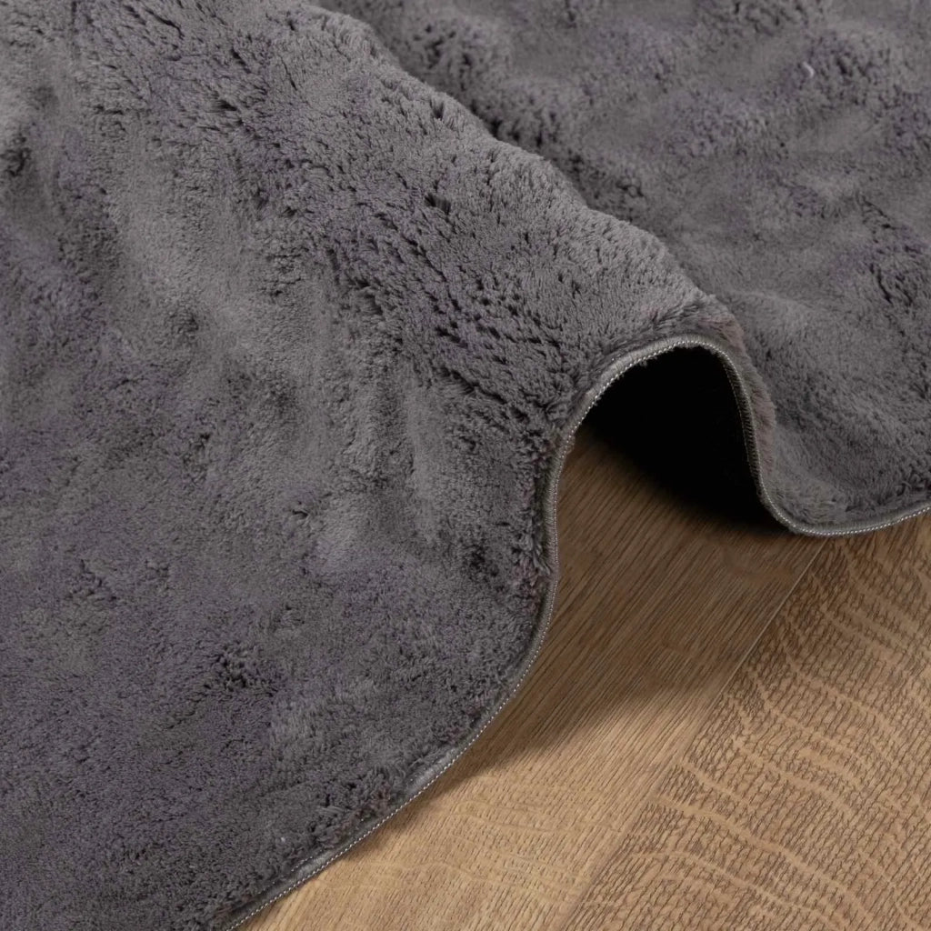 Tappeti per area SIROLO Antracite 280 x 200 cm Poliestere