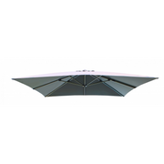 TELO DARWIN GRIGIO 3 X 4 P/L