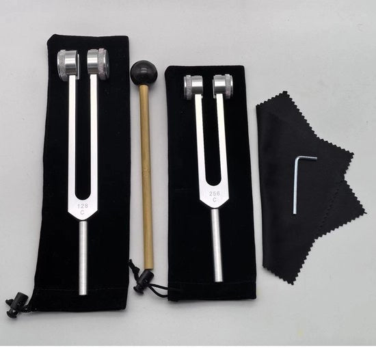 Set di attrezzi per la guarigione - Ideali per la guarigione, chakre, terapia del suono e il mantenimento di una perfetta armonia dello spirito - Argento 128 + argento 256 + 2 pezzi di stoffa + martelletto del suono + punteruolo + asciugamano di pulizia