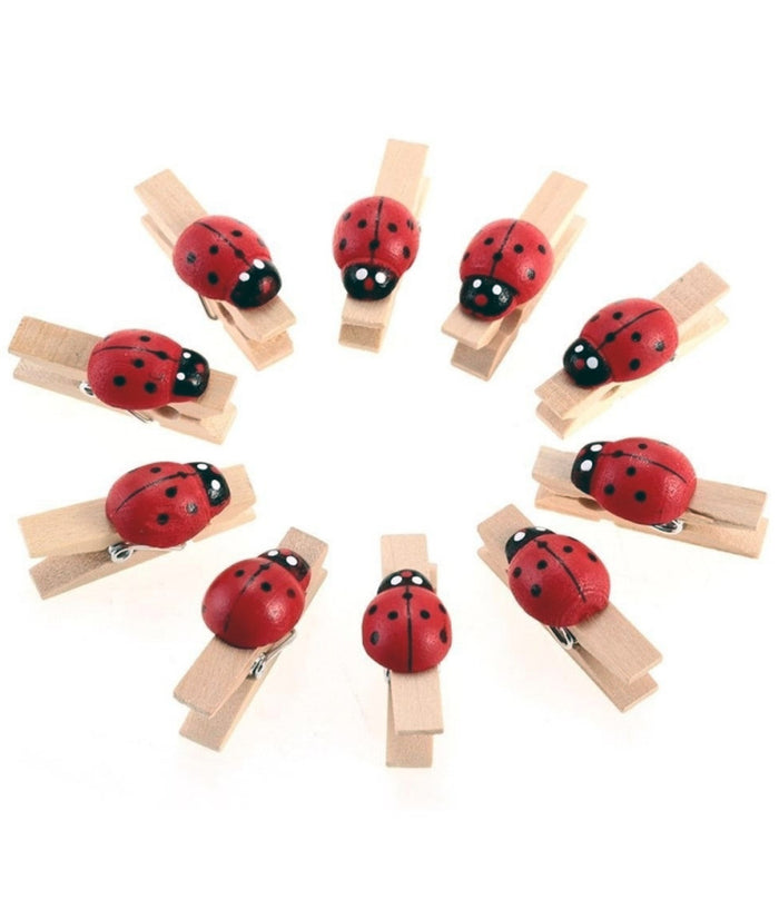 48pz. Molletta Coccinella Legno Naturale Bomboniere Biglietti Laurea Compleanno         