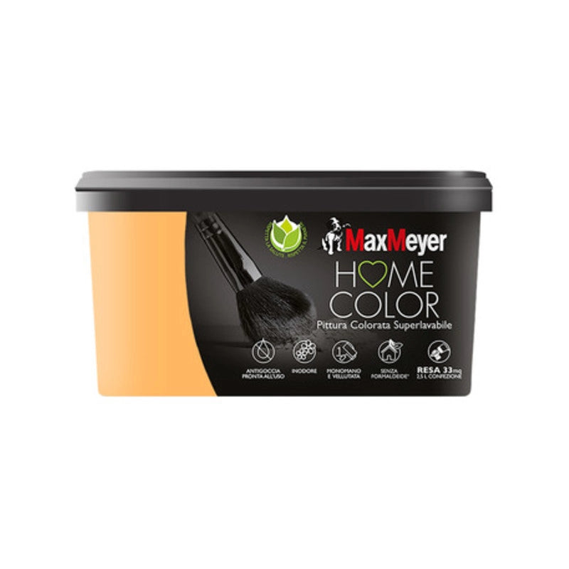 HOME COLOR SUPERLAVABILE LT.2,5 MELON- 1,0 pz