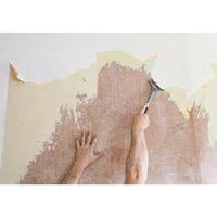 Fissativo vinilico finisol 2 vin ilico lt.20 b08lqx64h1