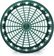 6 x contenitori per piante di aglio, vaschetta per la coltivazione e conservazione delle piante di aglio, grande contenitore verde per aglio (06 x contenitore - 31 cm)