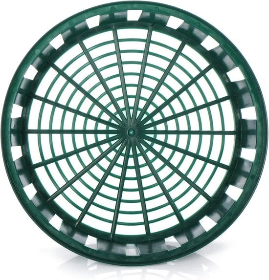 6 x contenitori per piante di aglio, vaschetta per la coltivazione e conservazione delle piante di aglio, grande contenitore verde per aglio (06 x contenitore - 31 cm)