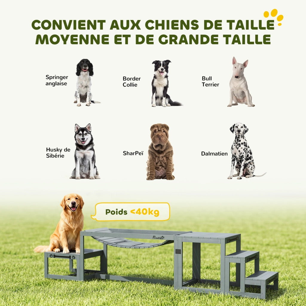 Kit Agilit¨¤ per Cani 3 Pezzi ¨C zephmum ¨C Legno Massello Grigio