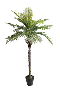 Pianta Artificiale Palma per 19 con Vaso 200 cm