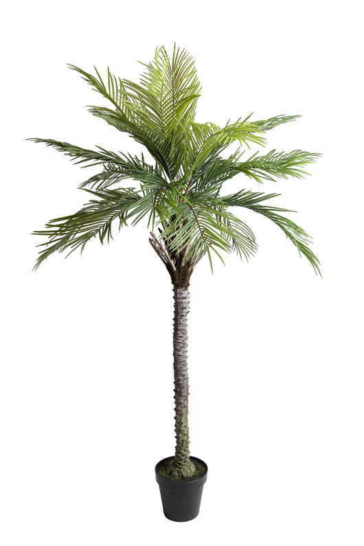 Pianta Artificiale Palma per 19 con Vaso 200 cm