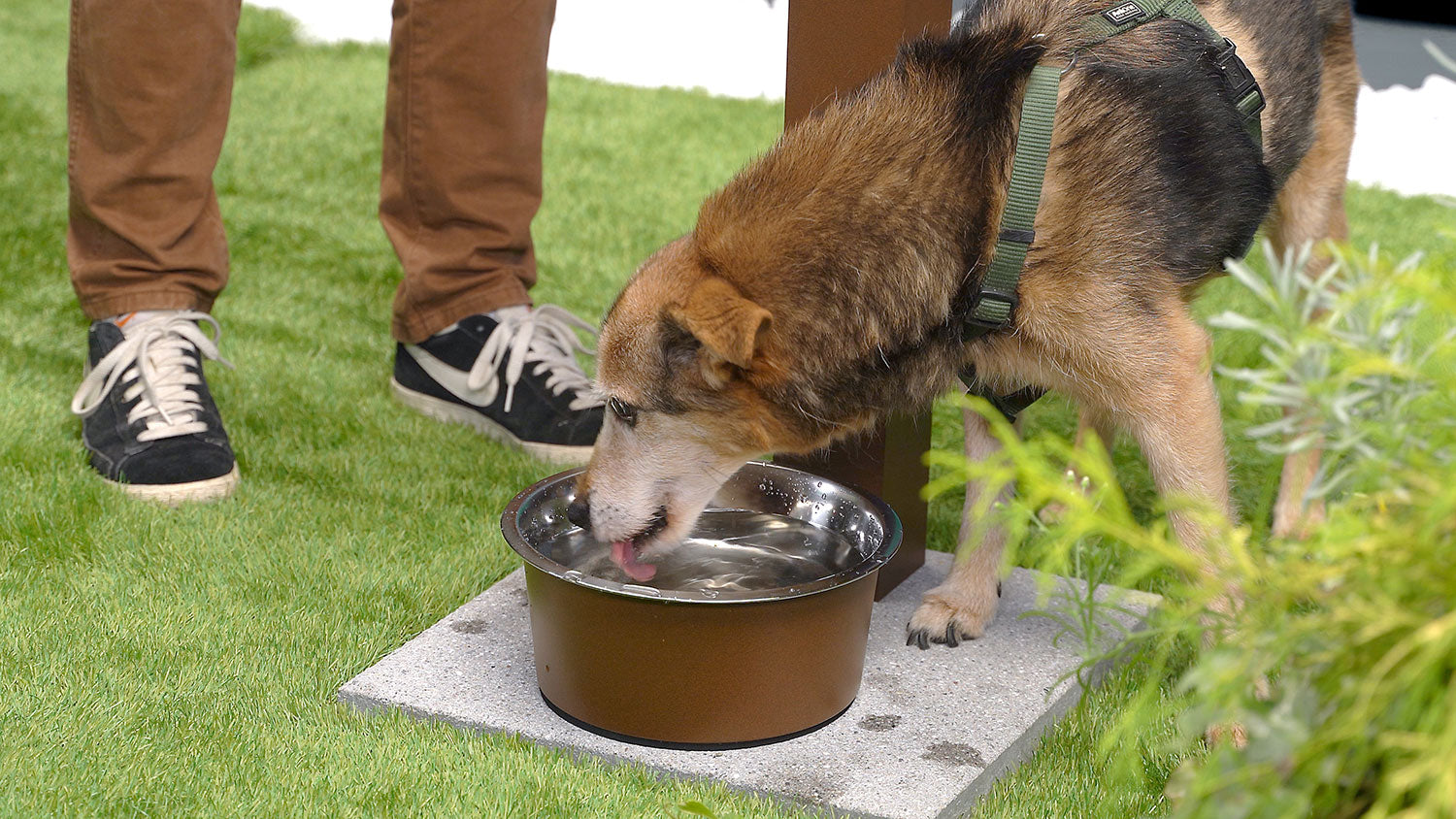 Fontana a Colonna Rubinetto Doppio in Ottone con Base e Vaschetta Abbeveratoio Belfer 42/REX-R Ruggine
