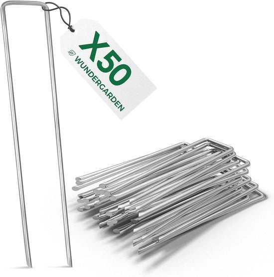 50 Haringen in Acciaio Inox Verniciato H150 mm Lunghezza 25 mm Diametro 29 mm Testa Piana - Set da 50